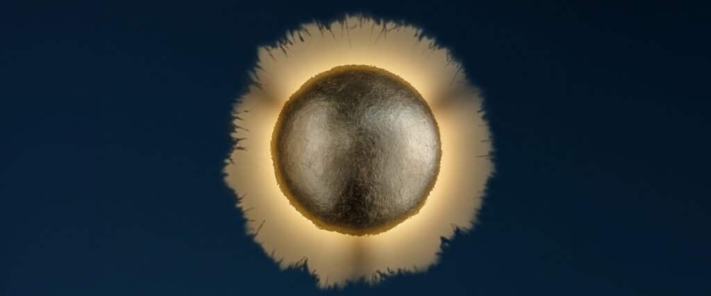 Immagine contenente lampade di design di un progetto o in vendita presso Casa delle lampadine